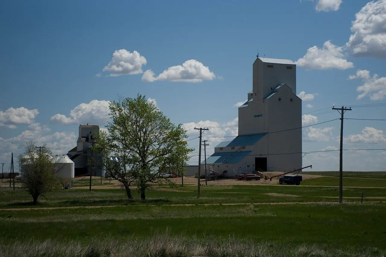 The grain elevators, 2009