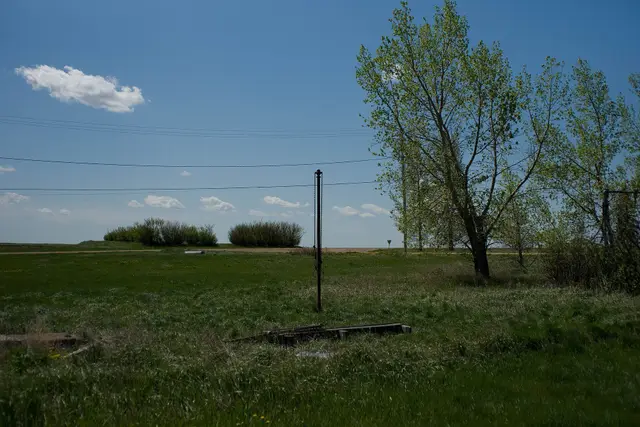 Prairie field with poplar trees and power pole